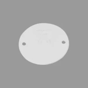 DS 膠司令蓋(100件/盒)